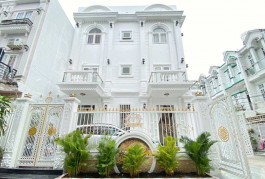 Cần bán khu biệt thự mini gần khu Amelie full thiết kế bên trong đẳng cấp giá bèo
